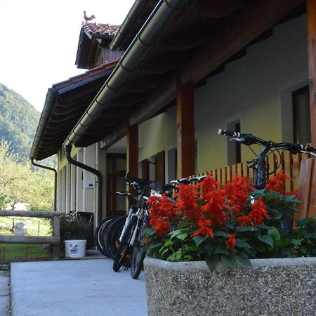 톨민 Tourist Farm Pri Kafolu 빌라 객실 사진