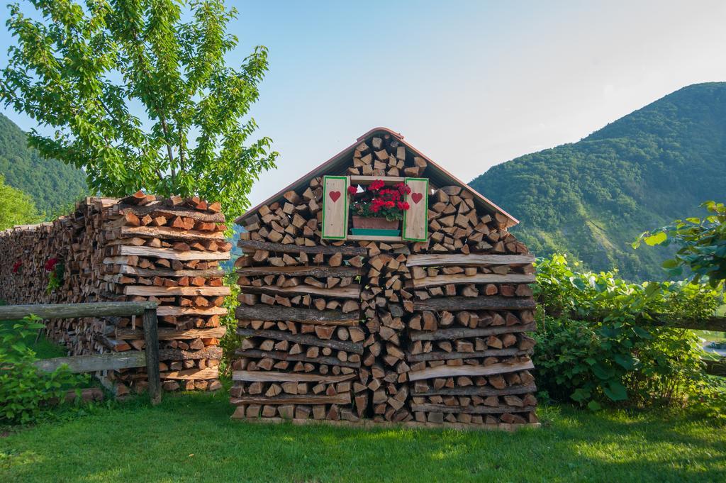 톨민 Tourist Farm Pri Kafolu 빌라 외부 사진